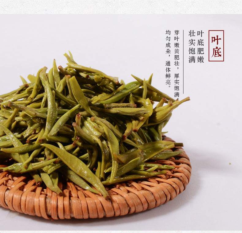 張家界林豐茶葉開發(fā)有限公司,張家界茶葉開發(fā),茶葉種植,桑植白茶加工,帥湘紅銷售